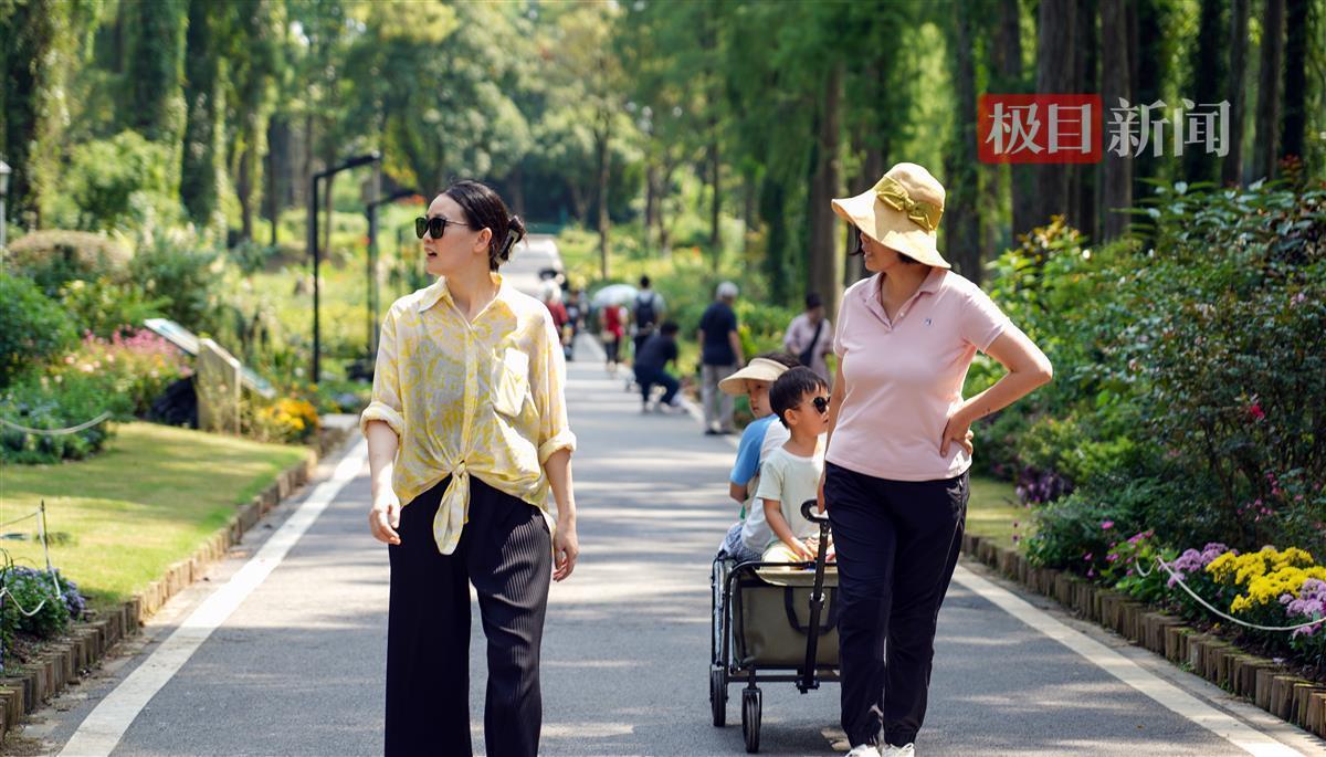 新葡官网app